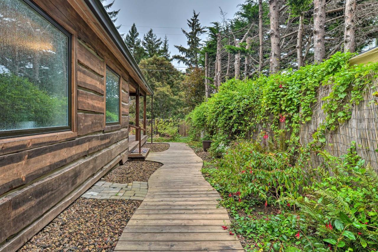Quiet And Cozy Eureka Home Near Sequoia Park And Zoo! Kültér fotó
